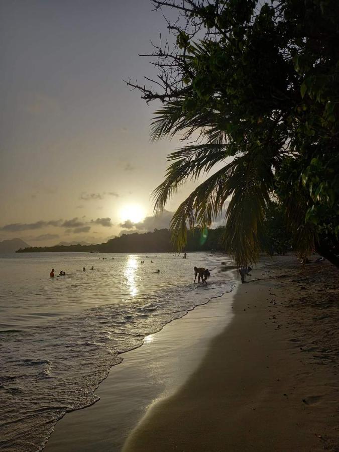 Studio Des Flots - Tartane Martinique La Trinité Eksteriør billede