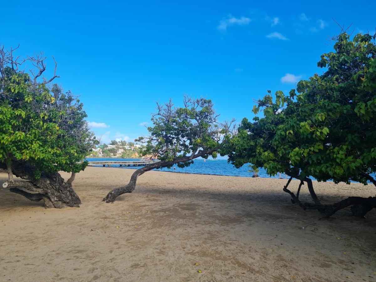 Studio Des Flots - Tartane Martinique La Trinité Eksteriør billede