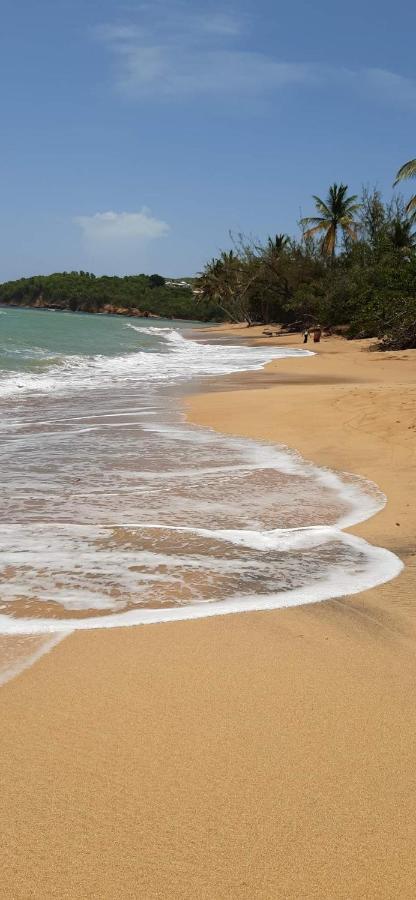 Studio Des Flots - Tartane Martinique La Trinité Eksteriør billede