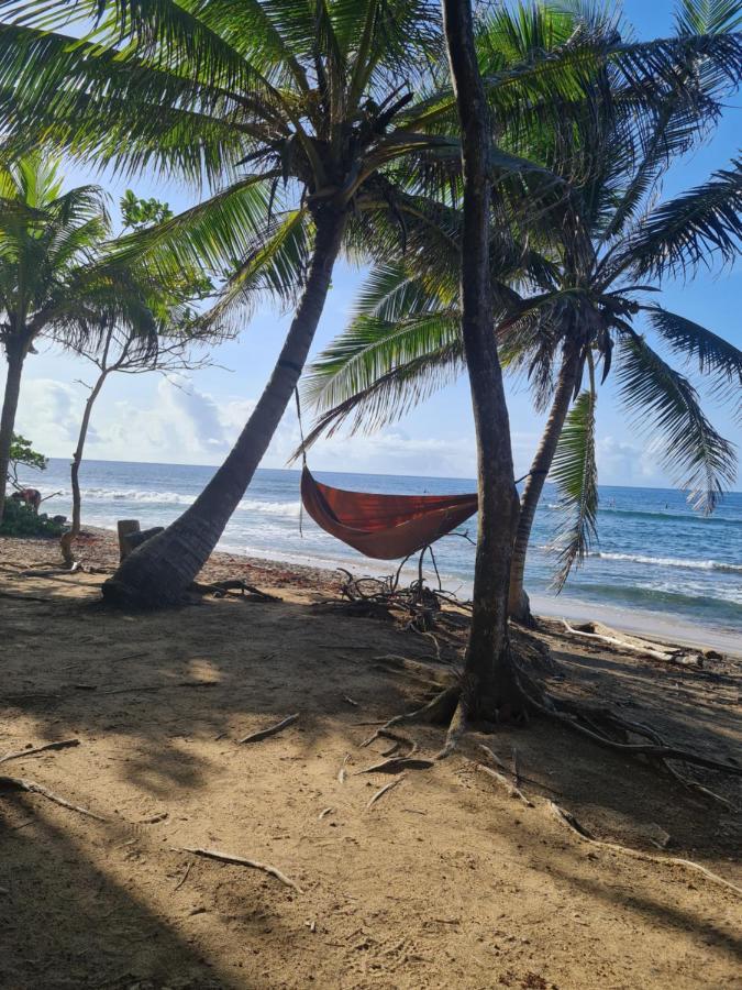 Studio Des Flots - Tartane Martinique La Trinité Eksteriør billede