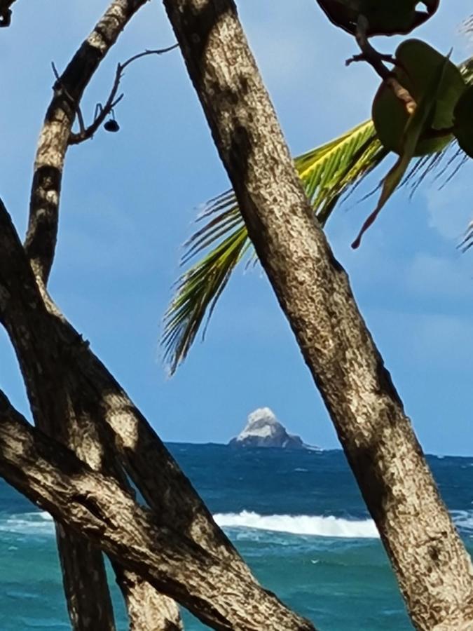 Studio Des Flots - Tartane Martinique La Trinité Eksteriør billede