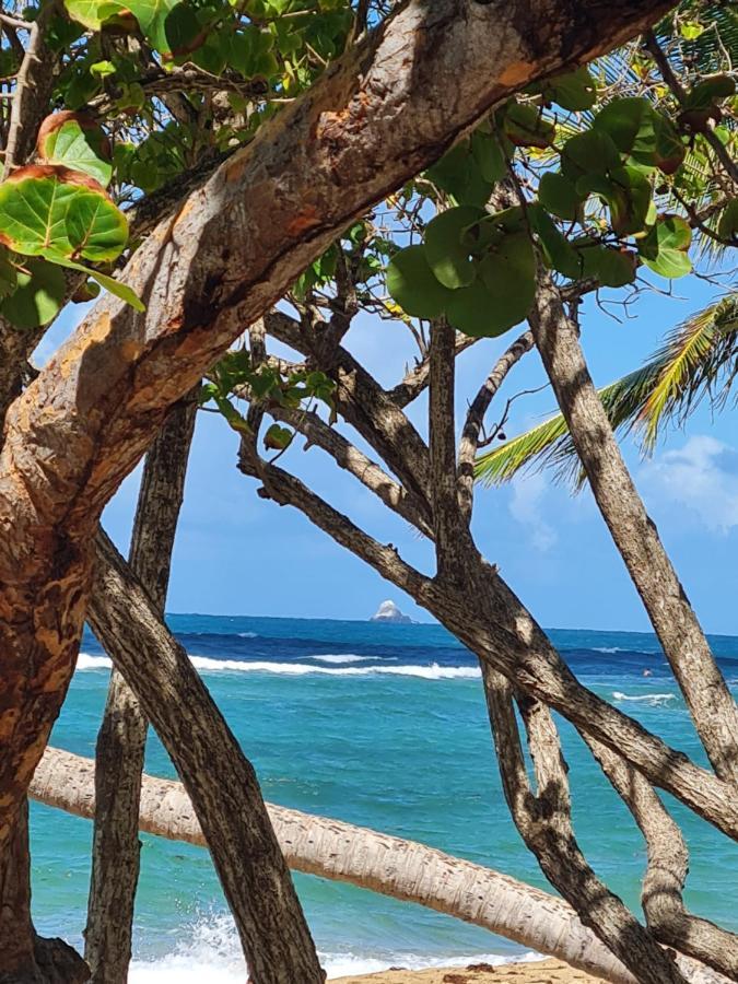 Studio Des Flots - Tartane Martinique La Trinité Eksteriør billede